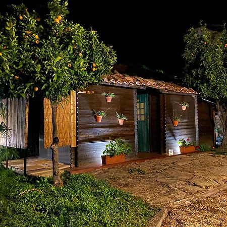 Apartamento Apartamento Rural Se De Un Lugar El Torno  Exterior foto